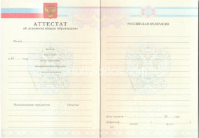 Аттестат за 9 класс 2007-2010 в Шахтах